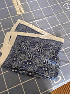 Silk Neck scarf